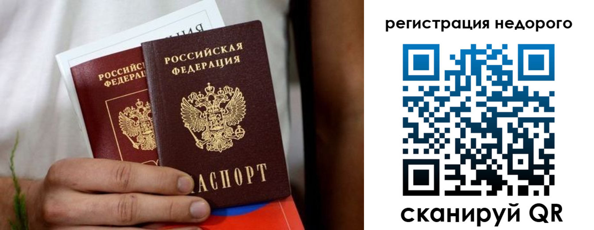 временная регистрация гарантия в Мончегорске